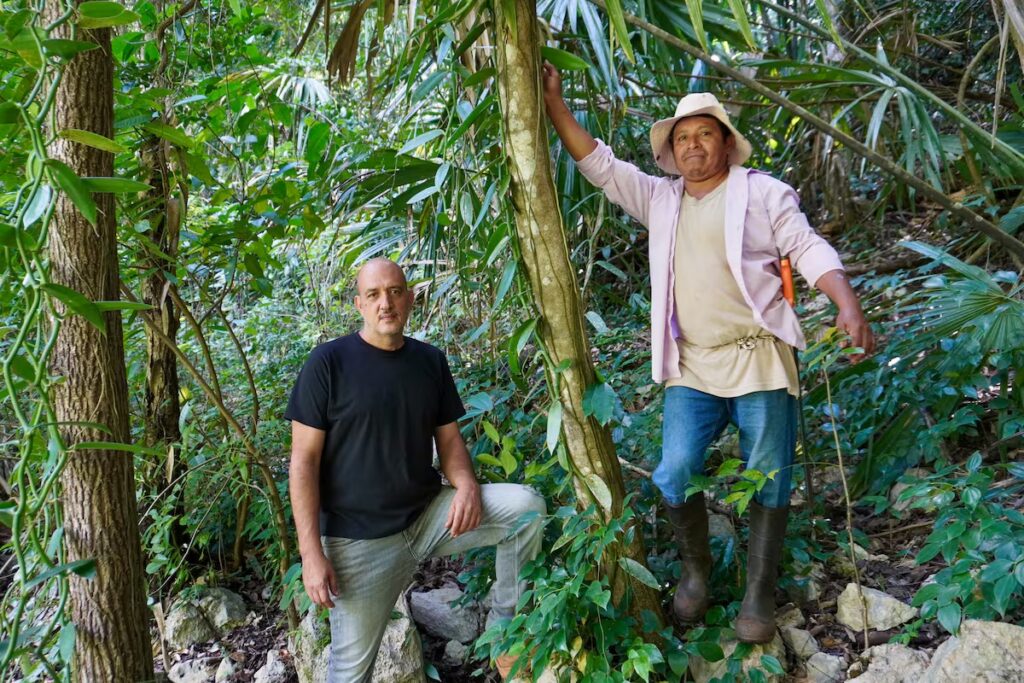 Gonzalo Samaranch y José Daniel Chuc rodeados de la vainilla maya, en Mestiza de Indias.